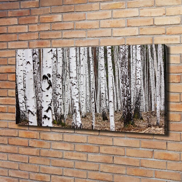 Canvas wall art Birch