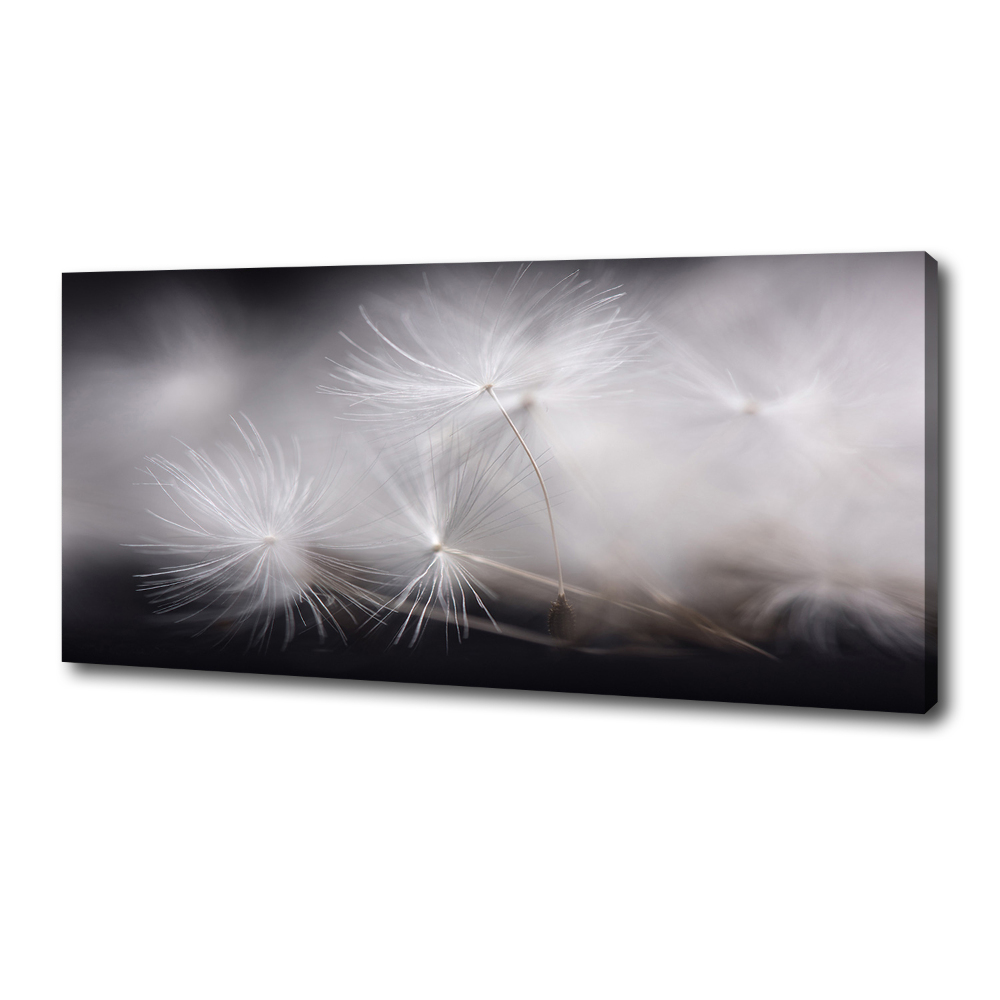 Canvas wall art Dandelion seeds