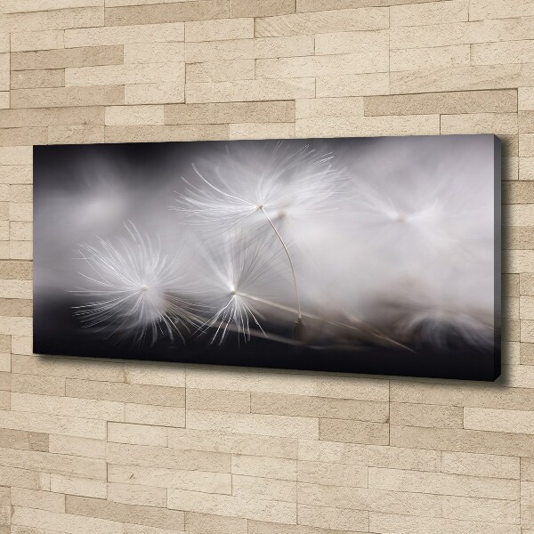 Canvas wall art Dandelion seeds