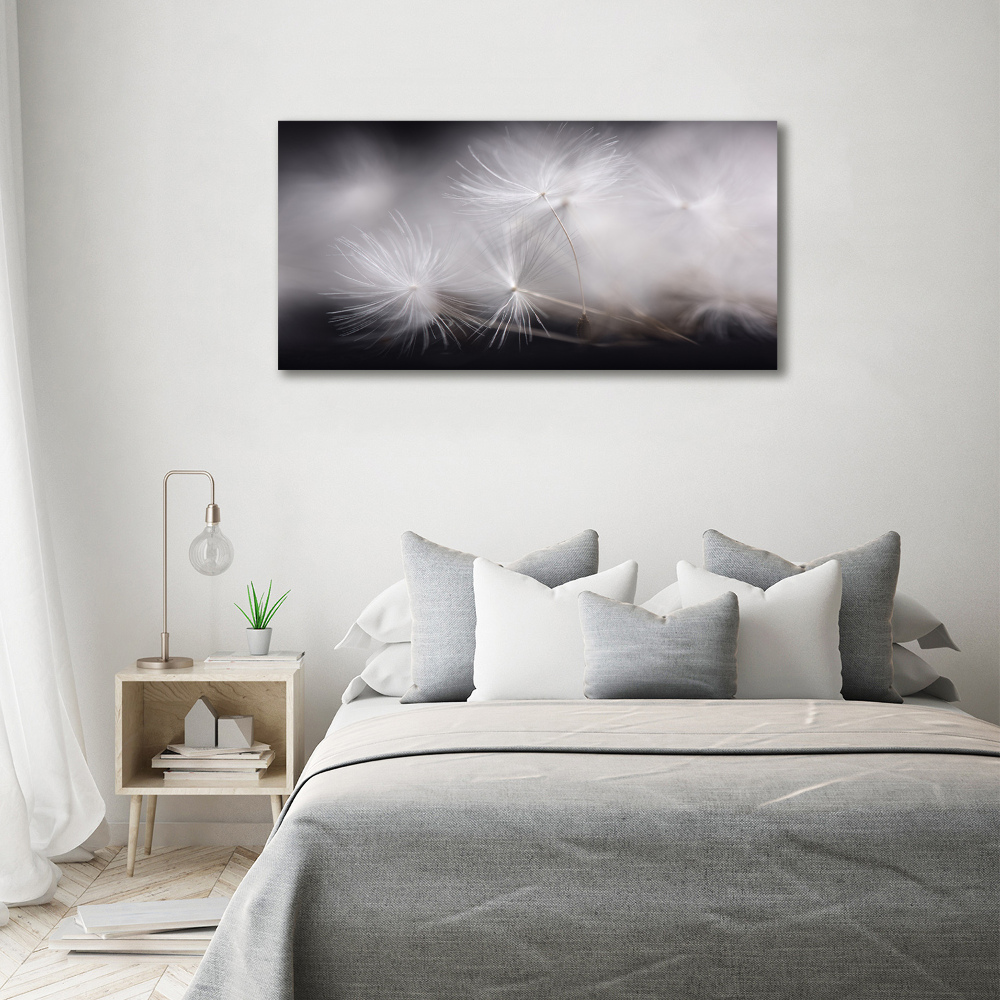 Canvas wall art Dandelion seeds