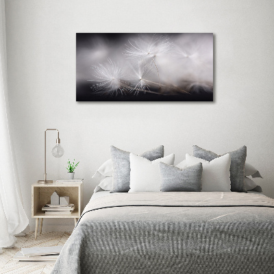 Canvas wall art Dandelion seeds