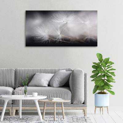 Canvas wall art Dandelion seeds