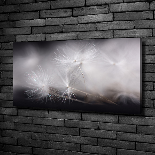 Canvas wall art Dandelion seeds