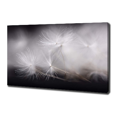 Canvas wall art Dandelion seeds