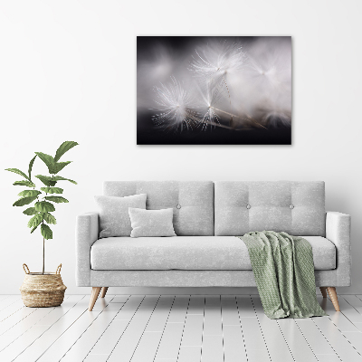 Canvas wall art Dandelion seeds