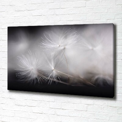 Canvas wall art Dandelion seeds