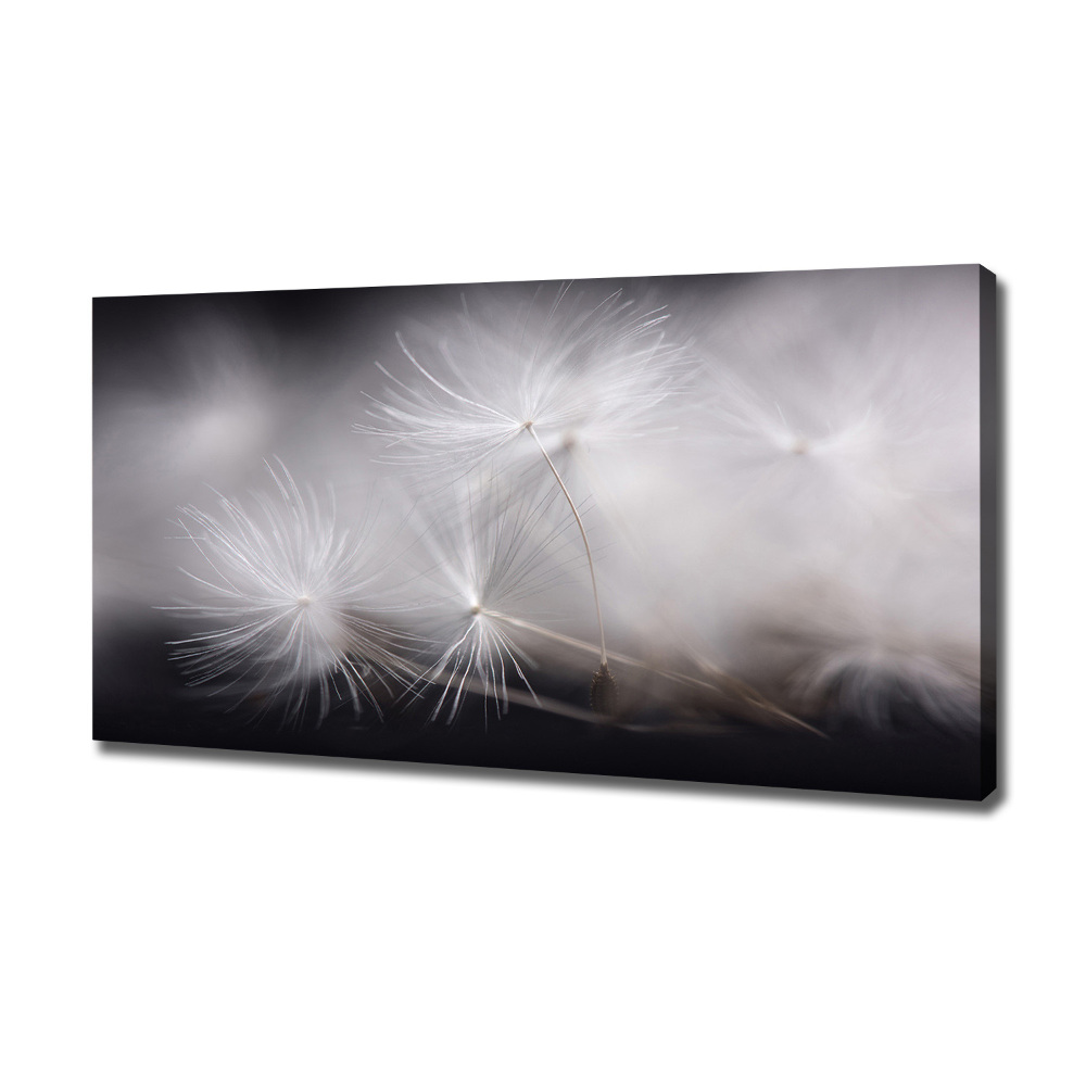 Canvas wall art Dandelion seeds