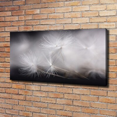 Canvas wall art Dandelion seeds