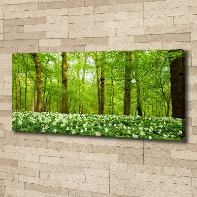 Canvas wall art Flowers in the forest