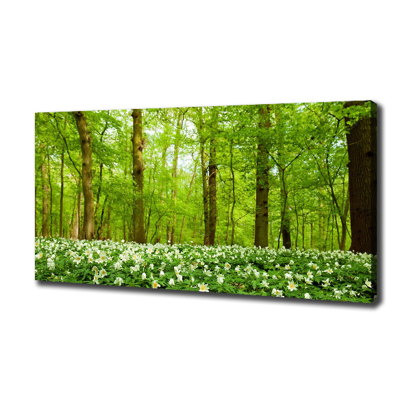 Canvas wall art Flowers in the forest