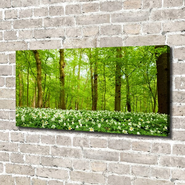 Canvas wall art Flowers in the forest