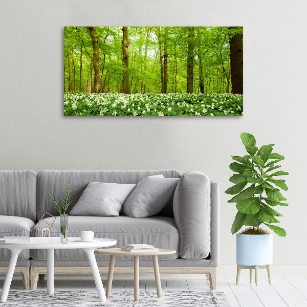 Canvas wall art Flowers in the forest