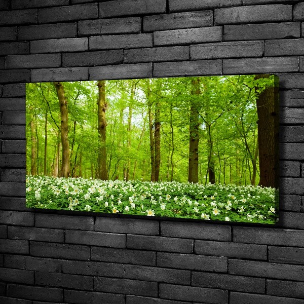 Canvas wall art Flowers in the forest