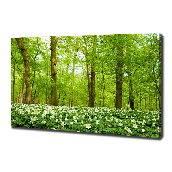 Canvas wall art Flowers in the forest