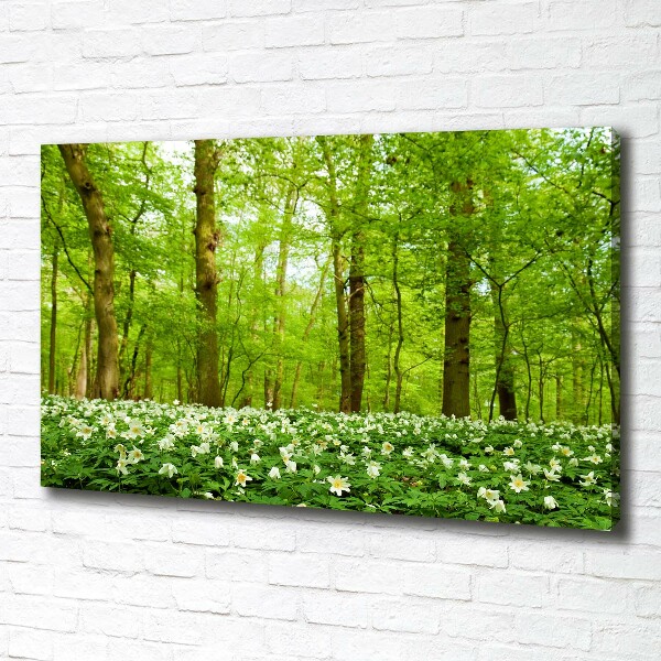 Canvas wall art Flowers in the forest