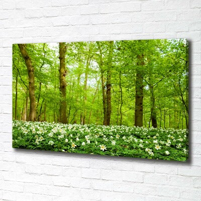 Canvas wall art Flowers in the forest