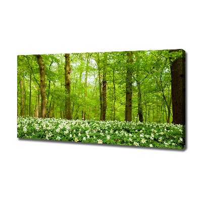 Canvas wall art Flowers in the forest