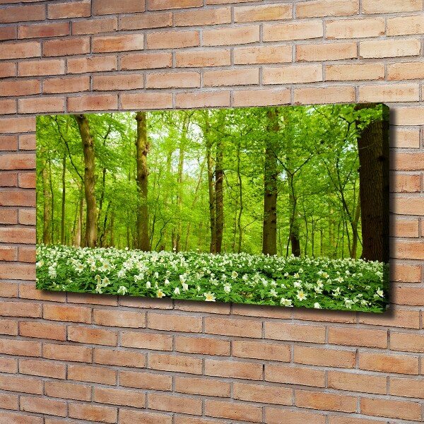 Canvas wall art Flowers in the forest