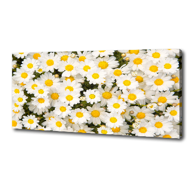 Canvas wall art Daisy