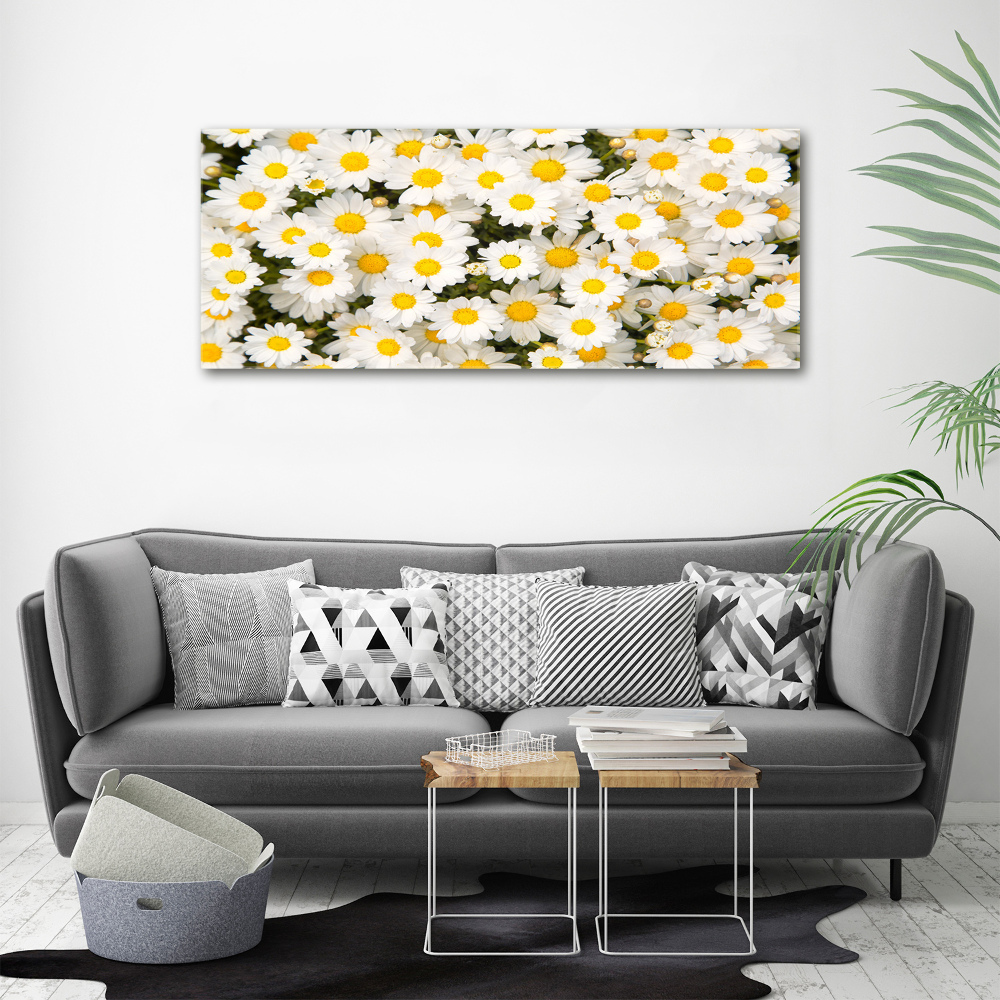 Canvas wall art Daisy