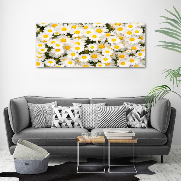 Canvas wall art Daisy