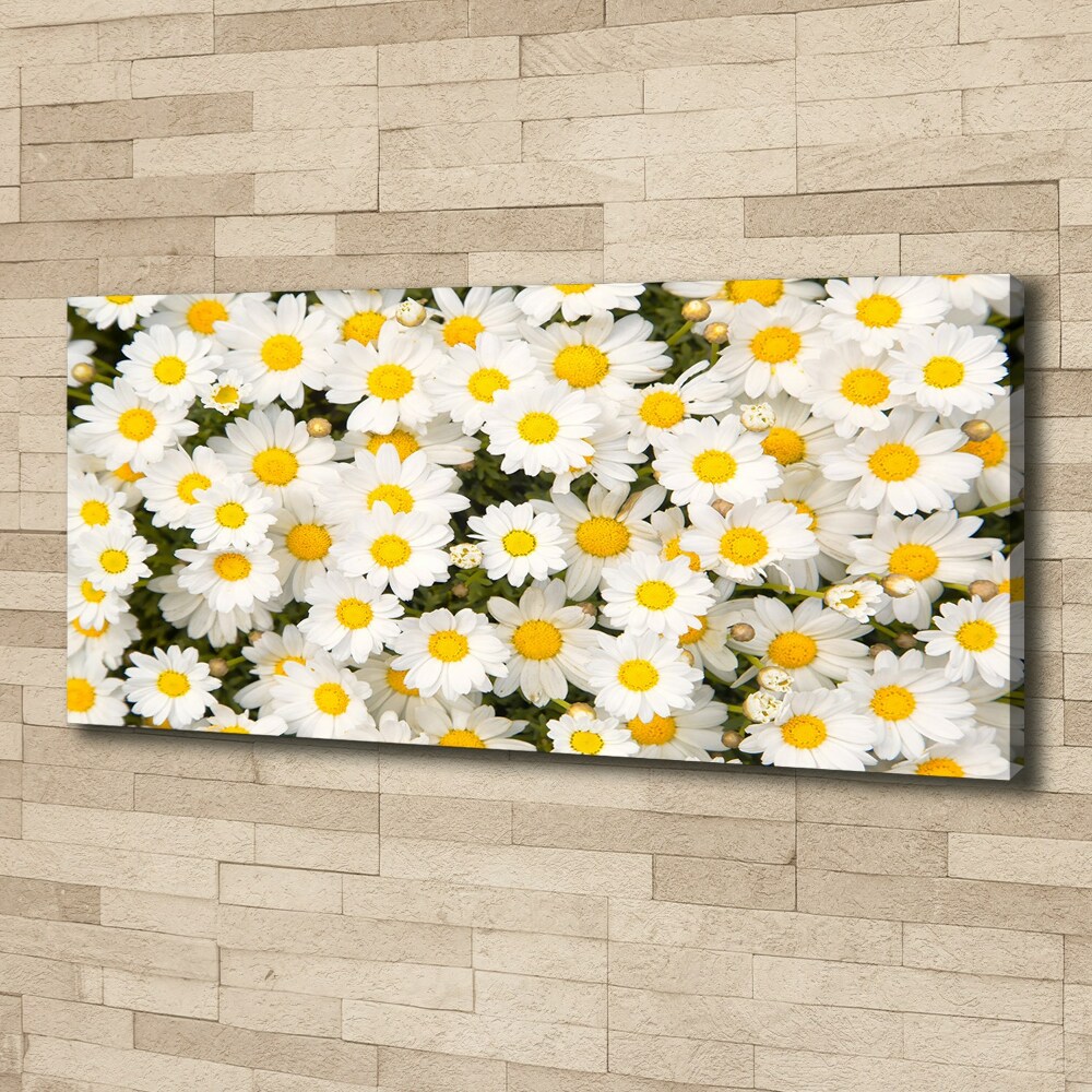 Canvas wall art Daisy