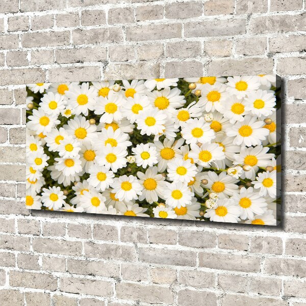 Canvas wall art Daisy