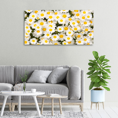 Canvas wall art Daisy