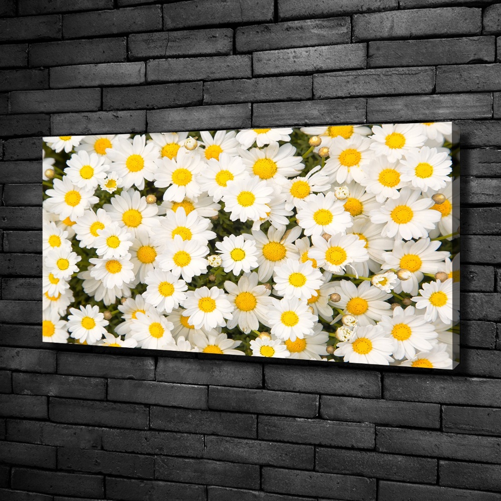 Canvas wall art Daisy