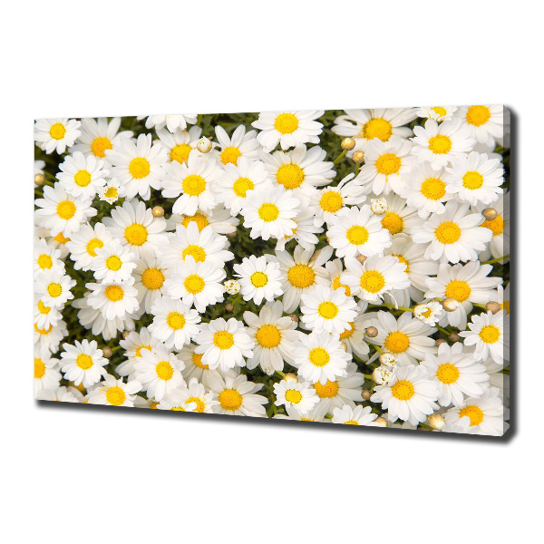 Canvas wall art Daisy