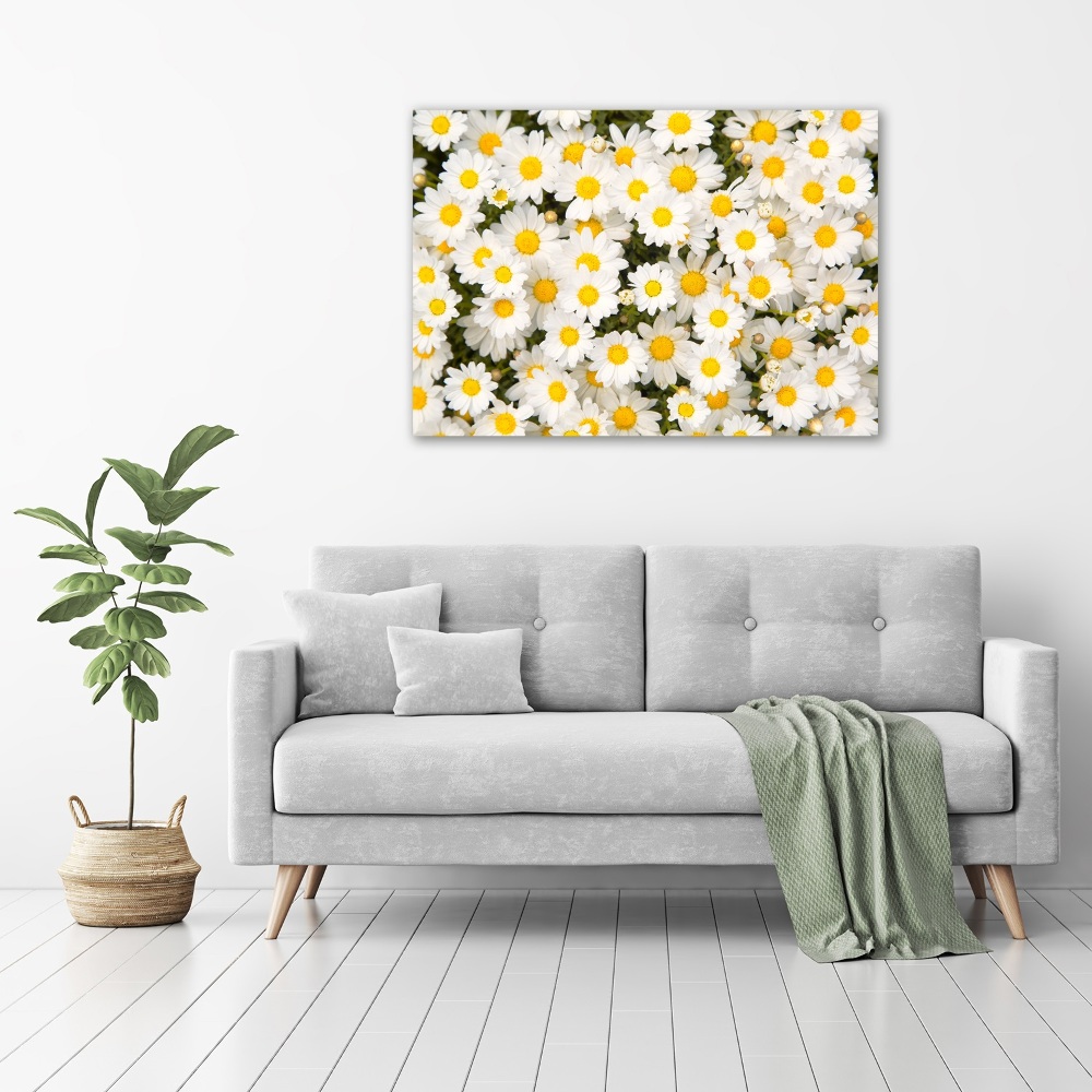 Canvas wall art Daisy