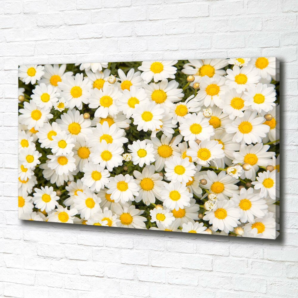 Canvas wall art Daisy