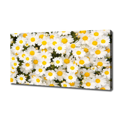 Canvas wall art Daisy