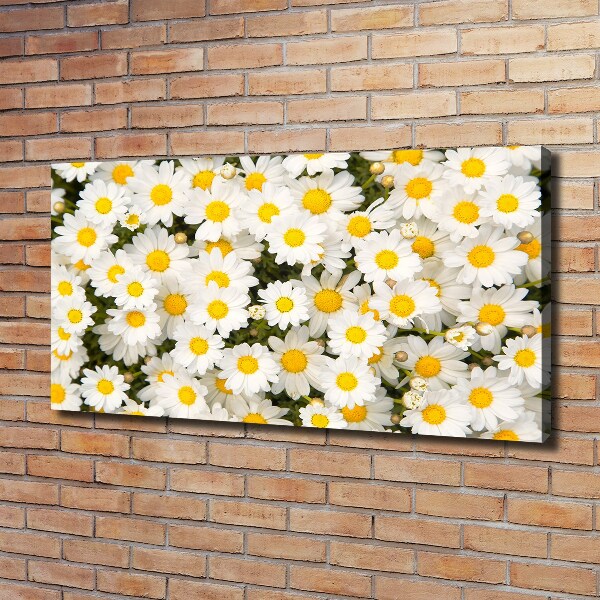 Canvas wall art Daisy