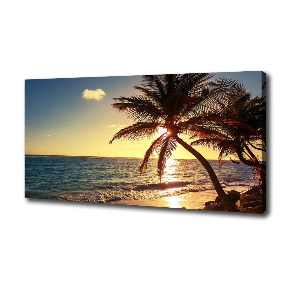 Canvas wall art Tropical beach