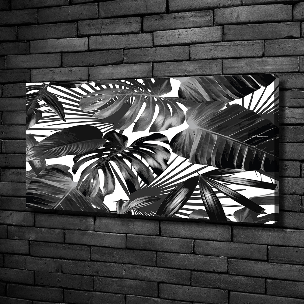 Canvas wall art Tropical leaves