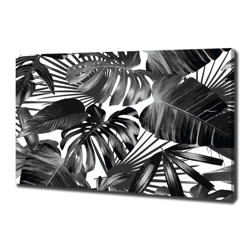 Canvas wall art Tropical leaves