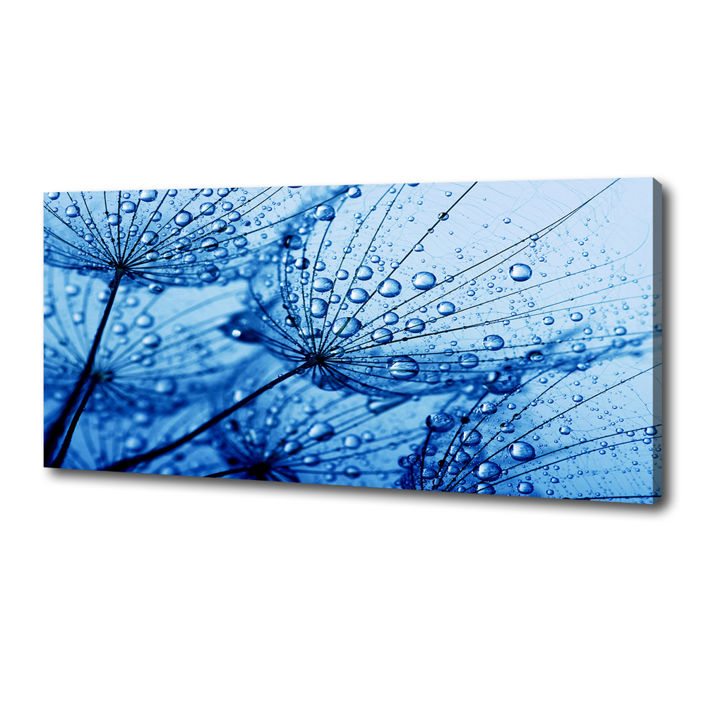 Canvas wall art Dandelion seeds