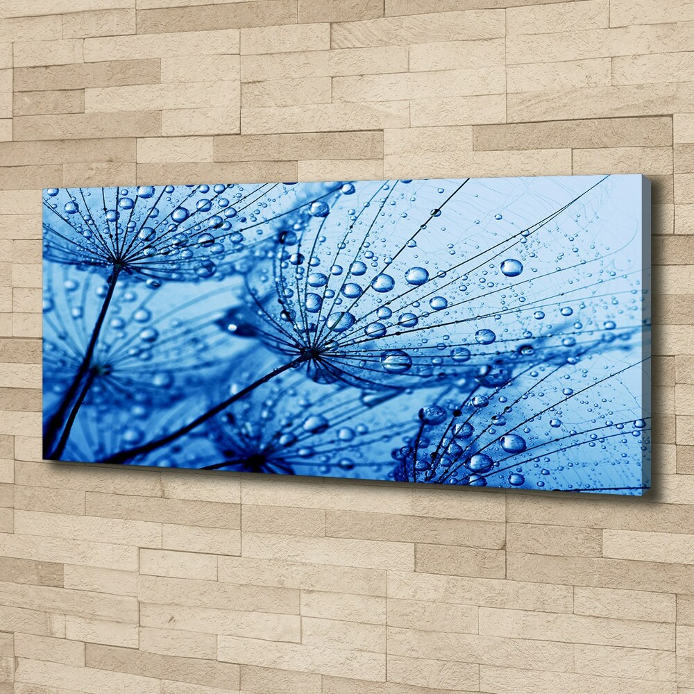 Canvas wall art Dandelion seeds