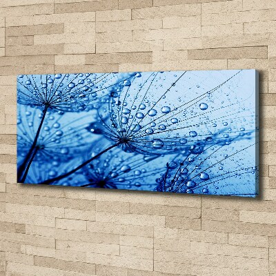 Canvas wall art Dandelion seeds