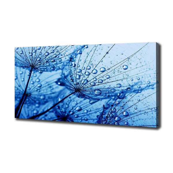 Canvas wall art Dandelion seeds