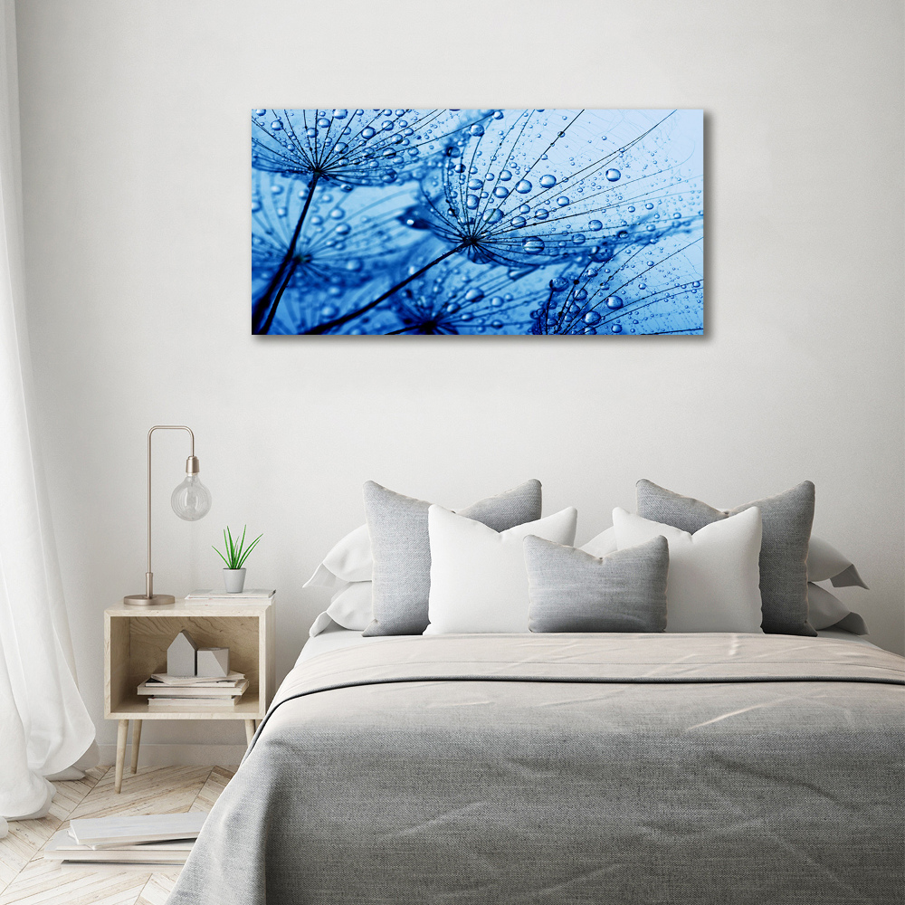 Canvas wall art Dandelion seeds