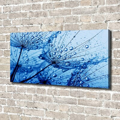 Canvas wall art Dandelion seeds