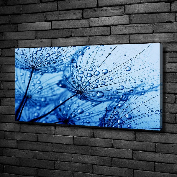 Canvas wall art Dandelion seeds