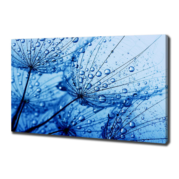 Canvas wall art Dandelion seeds