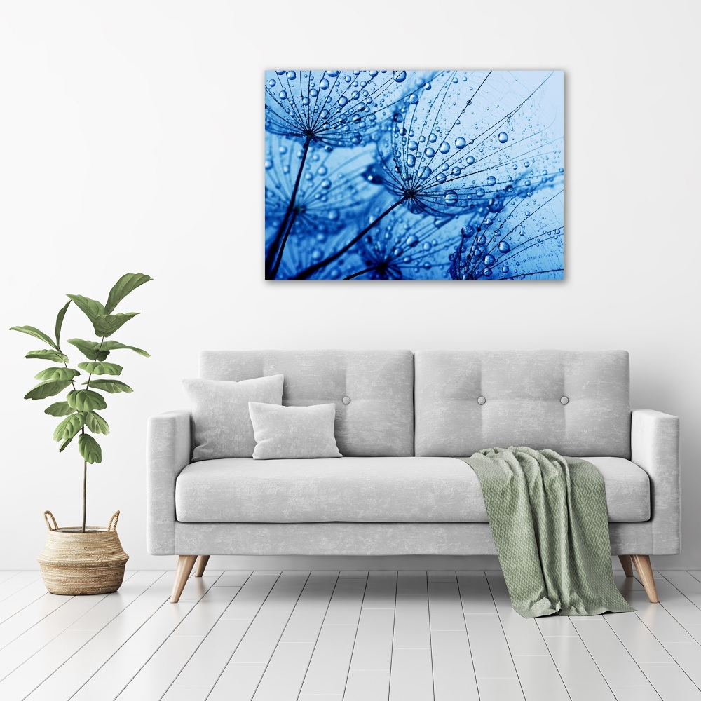 Canvas wall art Dandelion seeds