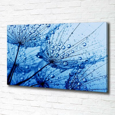 Canvas wall art Dandelion seeds