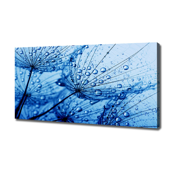 Canvas wall art Dandelion seeds