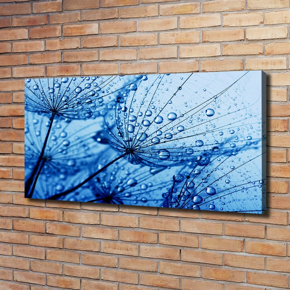 Canvas wall art Dandelion seeds