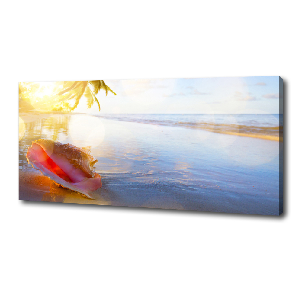 Canvas wall art Beach shell